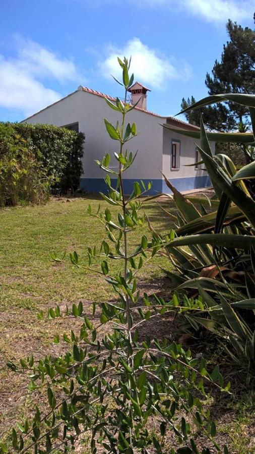 Casa Da Samouqueira Vila Rogil Exterior foto